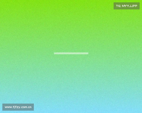 聚焦其他赛事：一场不容错过的精彩之旅，从次要比赛到多元活动